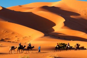 Tour del Camello por 2 Noches en Merzouga Desierto