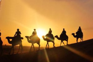 Tour 4 dias desde Fez al Desierto y Marrakech