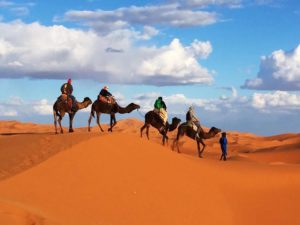 Ruta 3 dia desde Fez al Desierto vía Marrakech